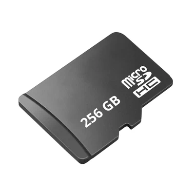 Micro SD-kaart 256GB